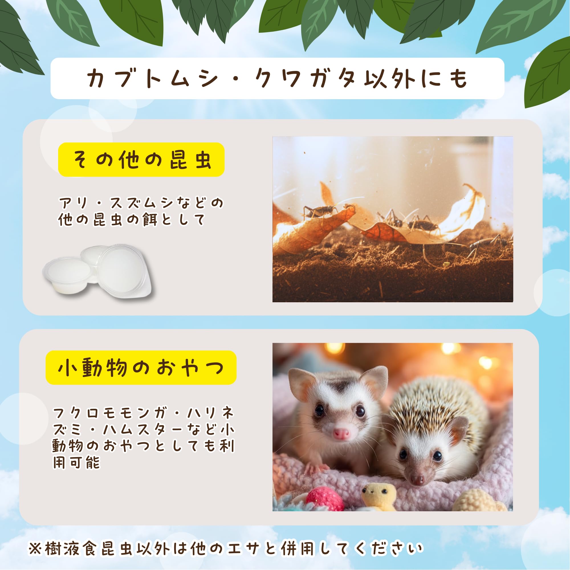 Amazon | フジコン 高タンパク乳酸ドルクスゼリー 昆虫ゼリー クワガタ