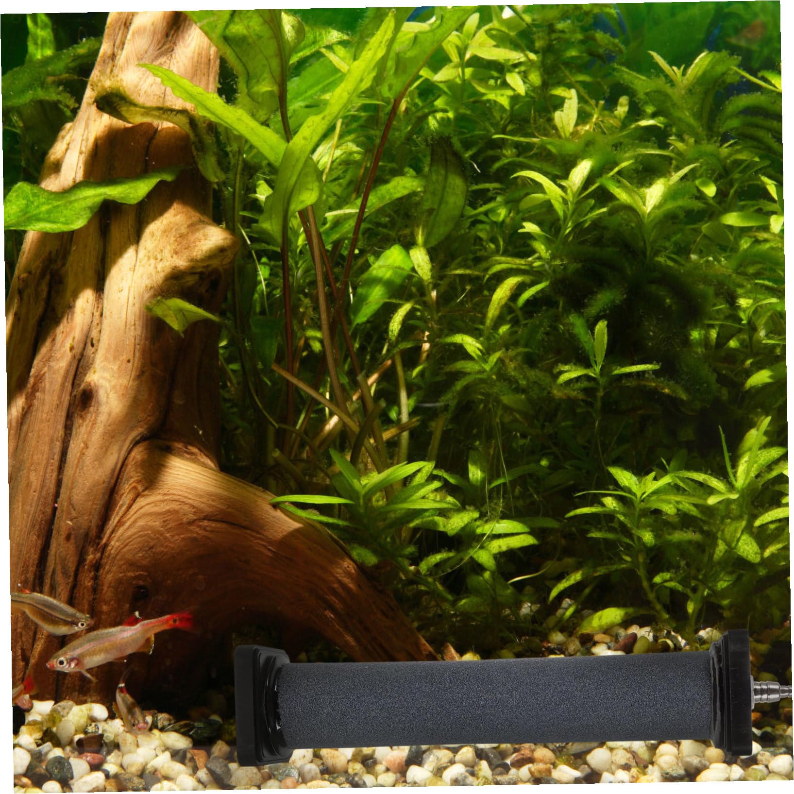Aquarien Ausströmerstein für Luftpumpe Steine Diffusor für Aquarium Aquariensteine Ausströmerstein für Luftpumpe