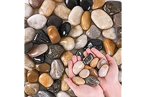 River Rocks for Water Plants: Beautify Your Aquatic Landscape