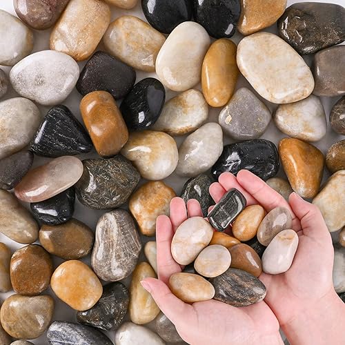 Rocas de río para plantas, 5.5 libras, pequeños guijarros decorativos de 1 a 1.5 pulgadas, piedras pulidas, grava de acuario suave para jarrones de