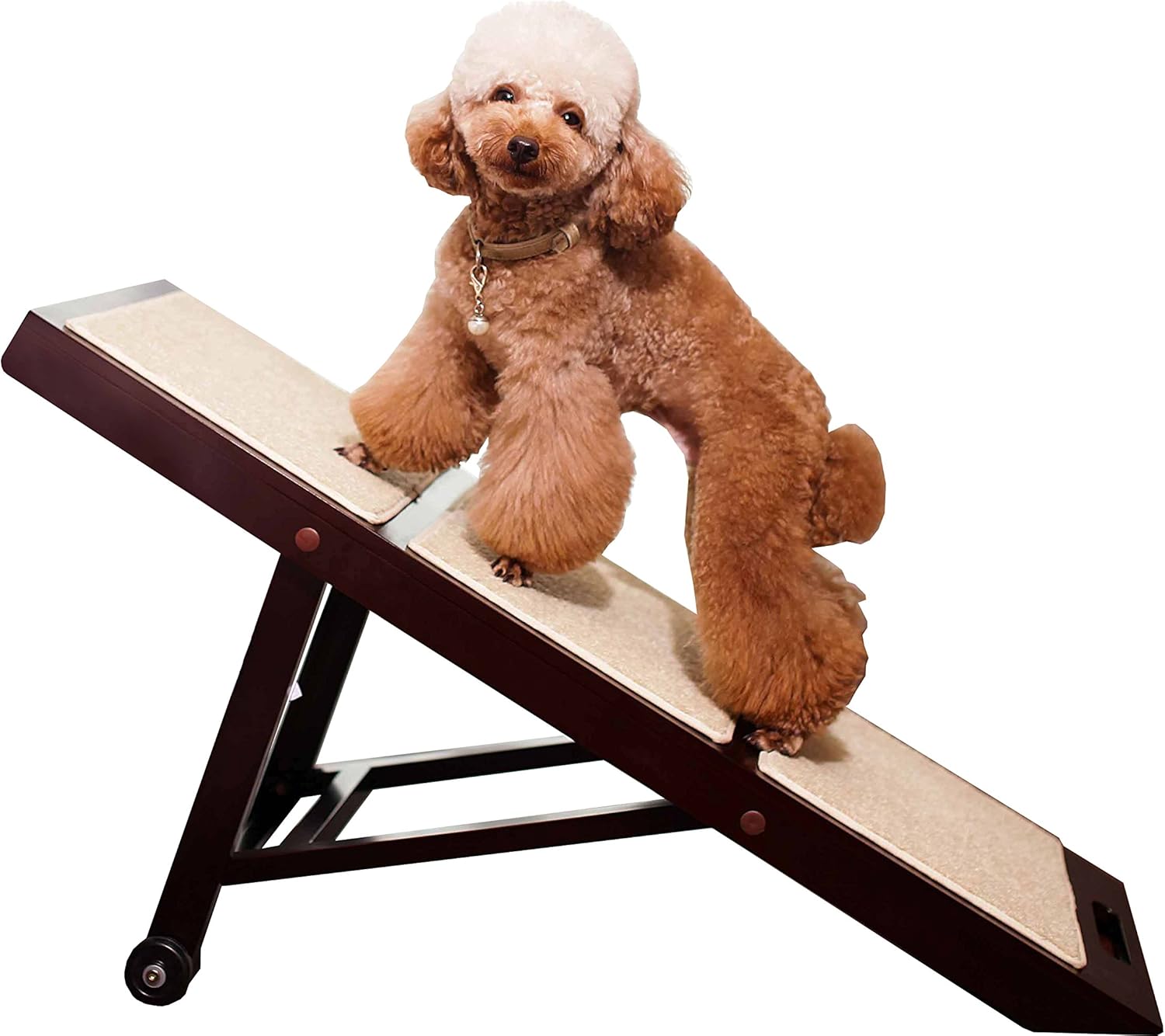 zoovilla Collapsible Pet Ramp Amazon.co.uk Pet Supplies