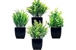 Elevate Home Interiors Decor with GREENTIME's Exquisite Fake Plants