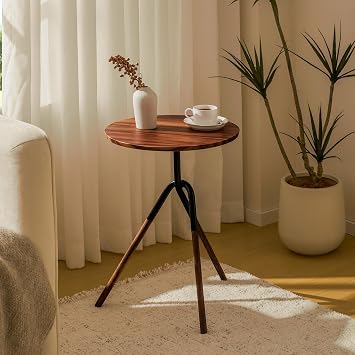 RECCI Small Round Side Table, Modern Solid Wood End Table with FSC Certified Wood & Knotted Metal Frame, Small Accent Couch Sofa Side Table for Living Room Bedroom, Walnut