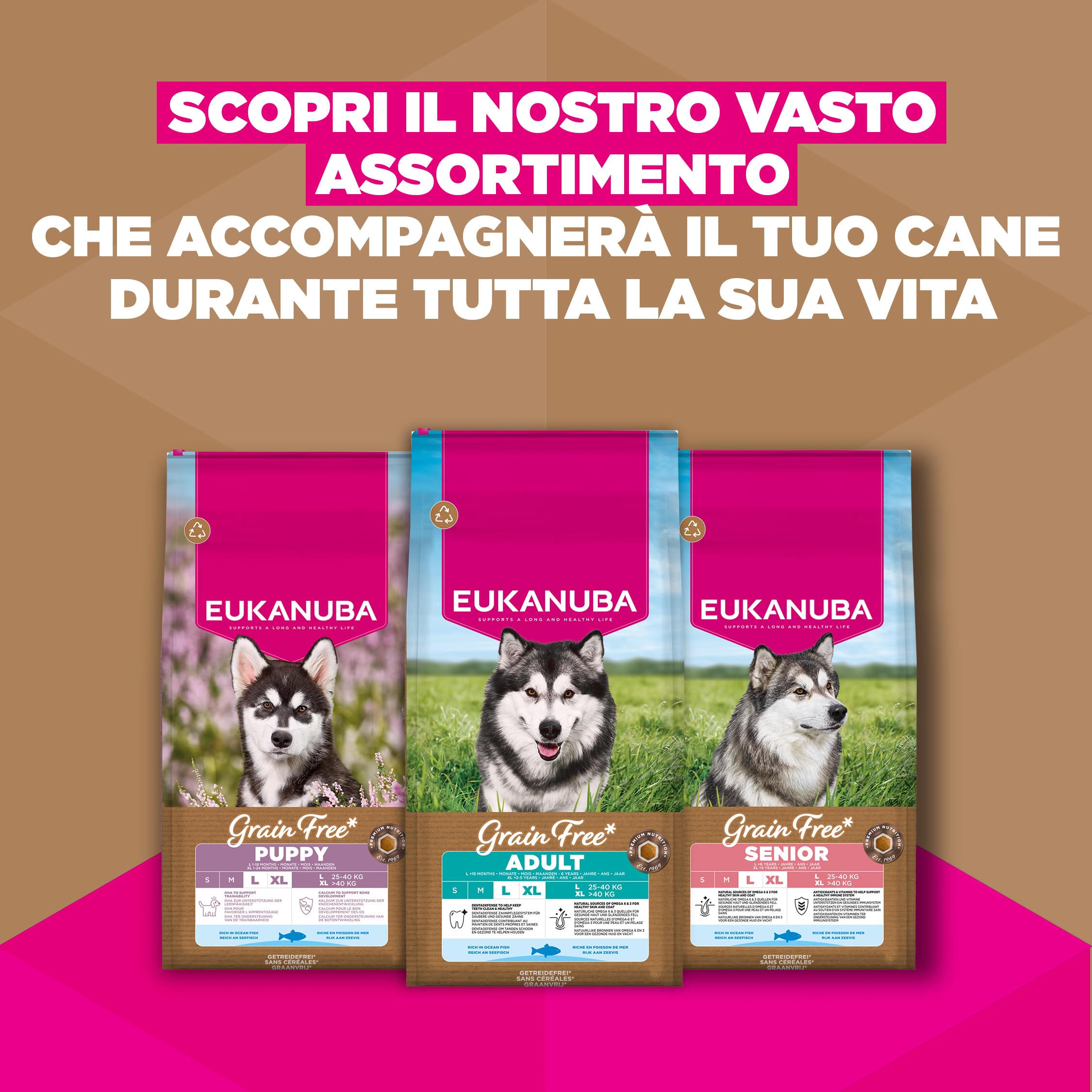 EUKANUBA Cibo secco per Cuccioli senza cereali con pesce per razze di taglia grande - Alimento secco premium privo di cereali per Cani giovani, 12 kg