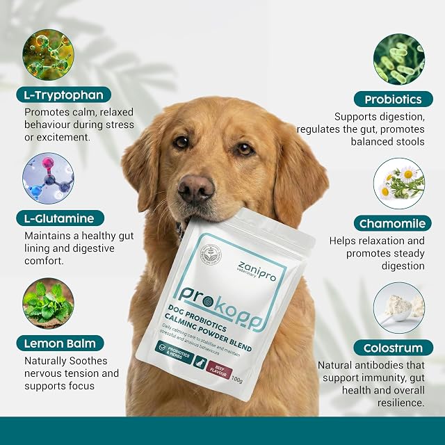 Foto 4 de 8 de Zanipro Suplementos calmantes para Perros, probióticos y L-triptófano en Polvo para Perros ansiosos