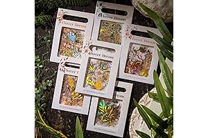 240 Pieces Gold Foil Botanical Stickers with Clear Background