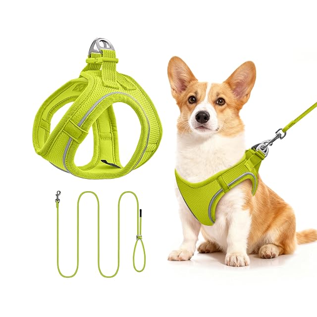 Arnés para Gatos con Correa 255cm M (Pecho 42-51cm) Verde Limón
