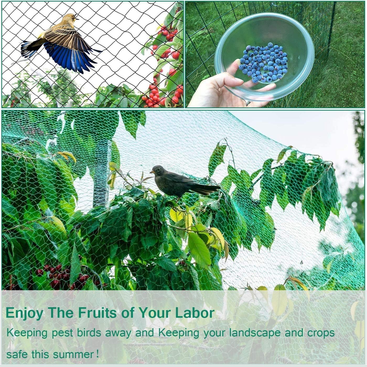 Bird Netting for Garden Protect Vegetable Plants and Fruit Trees, Garden Net Doesn't Tangle and Reusable Fencing Protect Fruit Vegetables from Birds,Deer,Squirrels and Other Animals