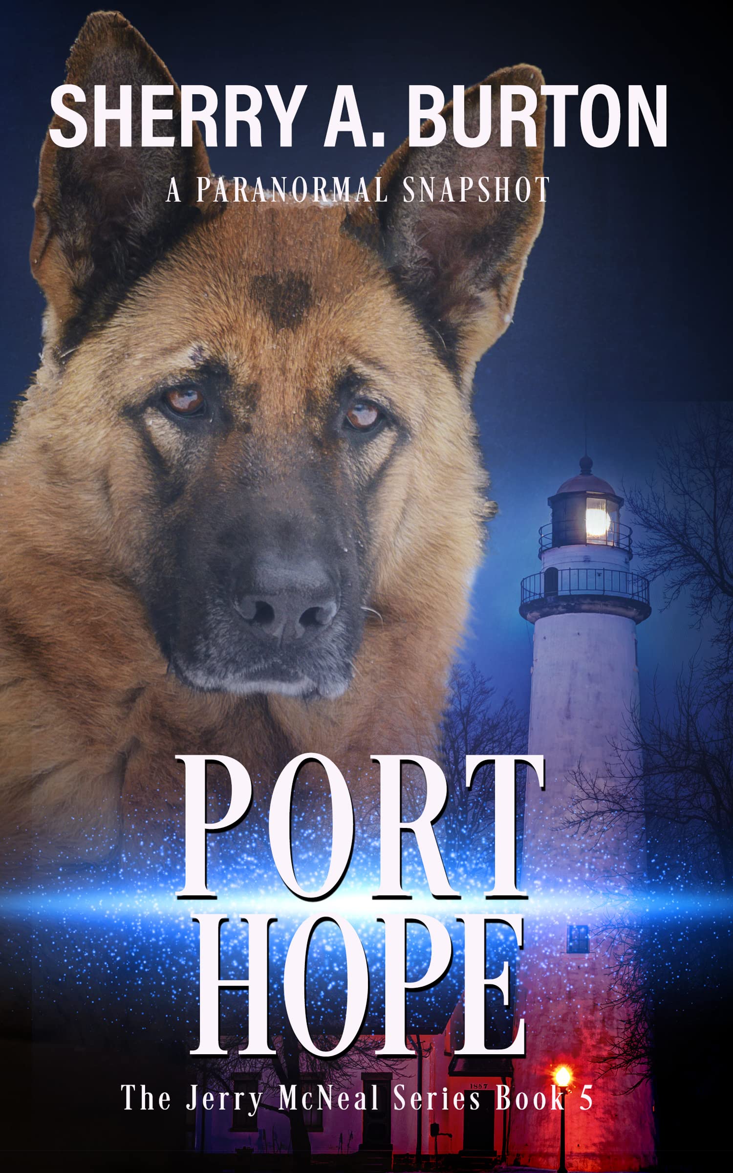 Port Hope: Book 5 in The Jerry McNeal series (A Paranormal Snapshot)