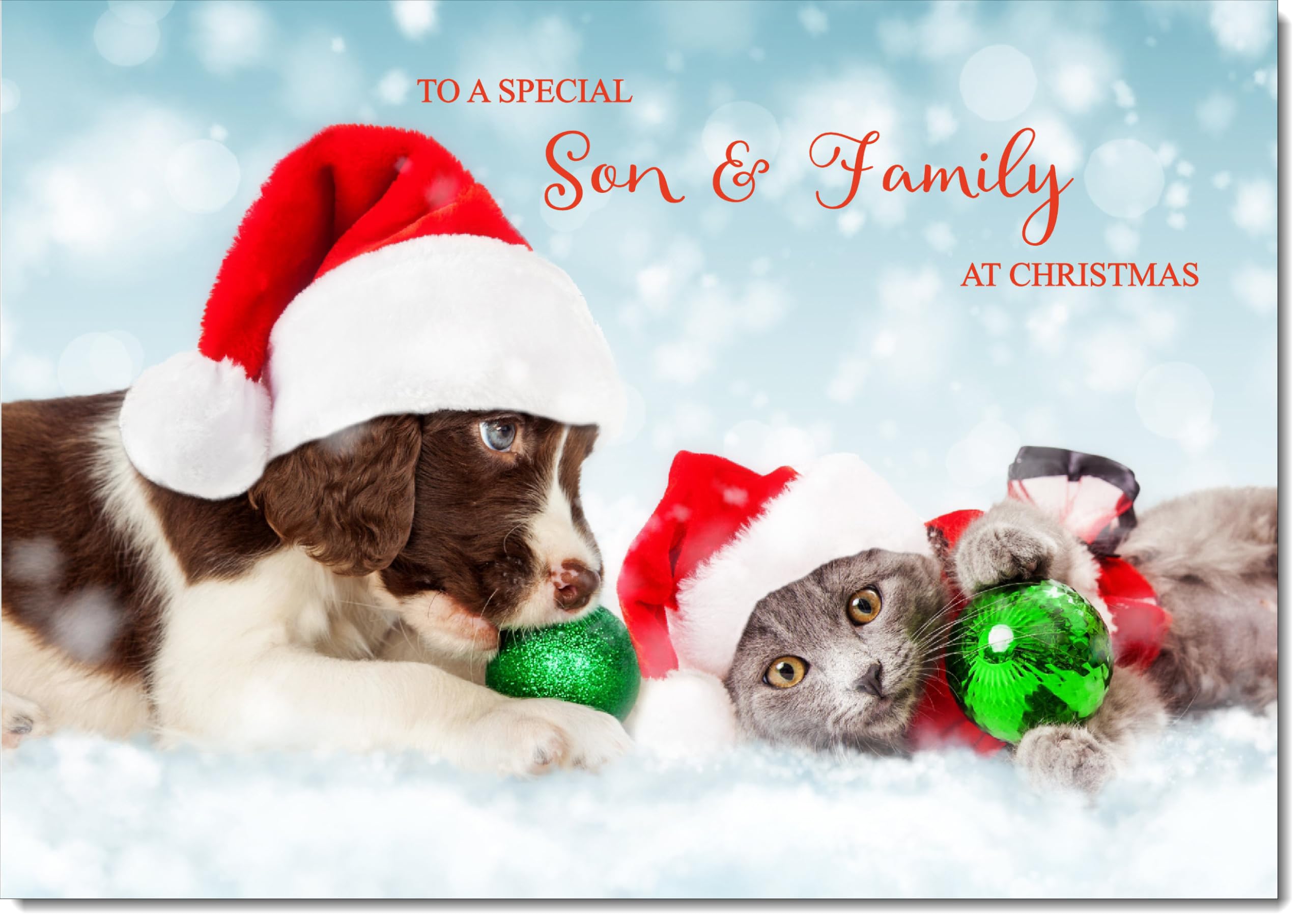 doodlecards Son and Family Christmas Card Puppy and Kitten with Santa Hats Large A4 Size Christmas Card for Son & Family with Plain Envelope — image 1