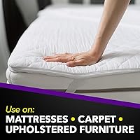 Vista 4 de Raid Bed Bug Foaming Spray, Kills Bed Bugs and Their Eggs, for Indoor Use, Non-Staining, Keeps Killing for Weeks, 16.5 oz (Pack of 1)