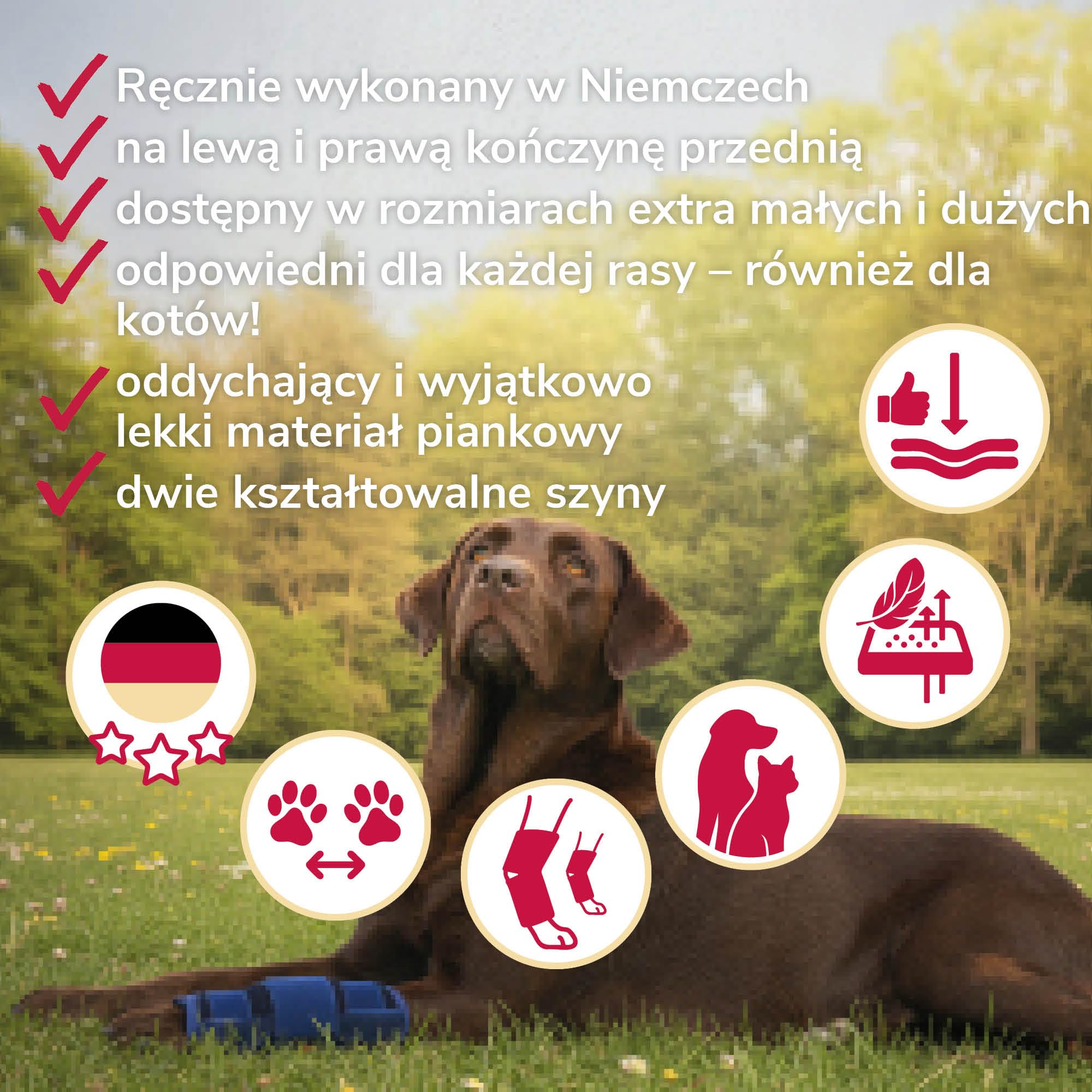 Niski Bandaż na Staw Nadgarstkowy z Pianki Rozmiar XL dla Psów & Kotów ze Szynami do Stabilizacji Hiperekstenacji Karpalnej & Pomocy przy Ostrych Urazach Stawu Nadgarstkowego