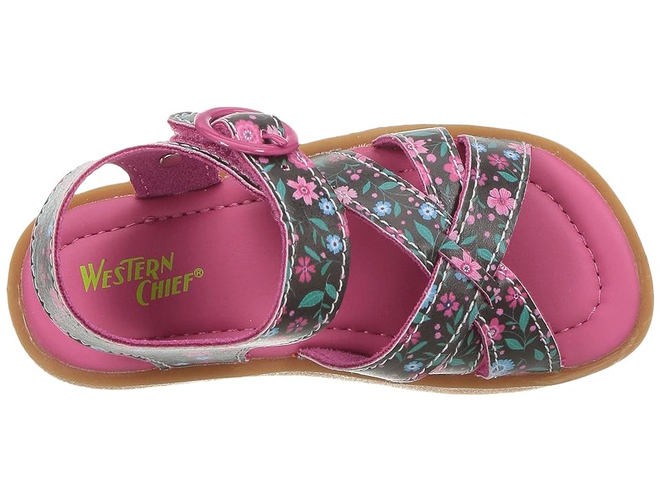 

Western Chief Kids Picnic Sandal (Toddler/Little Kid) (Black) Girls Shoes