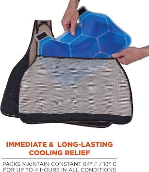 Cooling Vest with 2 Ice Packs, Flame Resistant, Flexible Design, Ergodyne Chill Its 6215