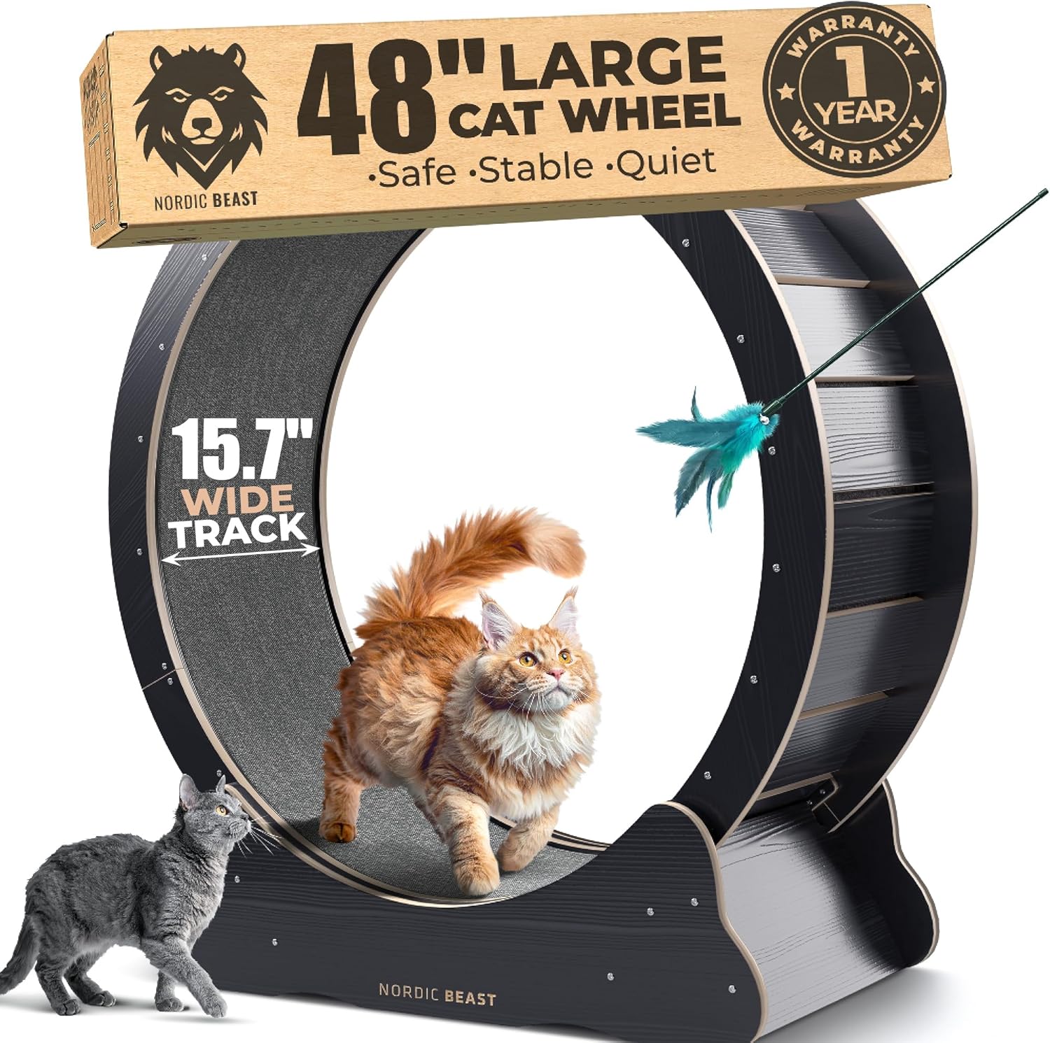 48'' XL Cat Wheel – Safe, Quiet & Stable Exercise Wheel for Large Indoor Cats up to 45 lbs – 15.7'' Extra-Wide Surface Fits 2 Cats Side by Side & Prevents Wobbling, 1-Year Warranty