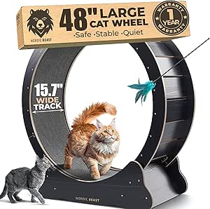 Nordic Beast 48'' XL Cat Wheel – Safe, Quiet & Stable Exercise Wheel for Large Indoor Cats up to 45 lbs