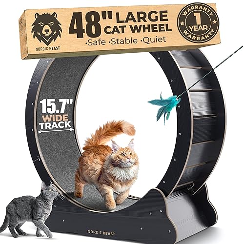 Nordic Beast 48'' XL Cat Wheel – Safe, Quiet & Stable Exercise Wheel for Large Indoor Cats up to 45 lbs – 15.7'' Extra-Wide Surface Fits 2 Cats Side by Side & Prevents Wobbling, 1-Year Warranty