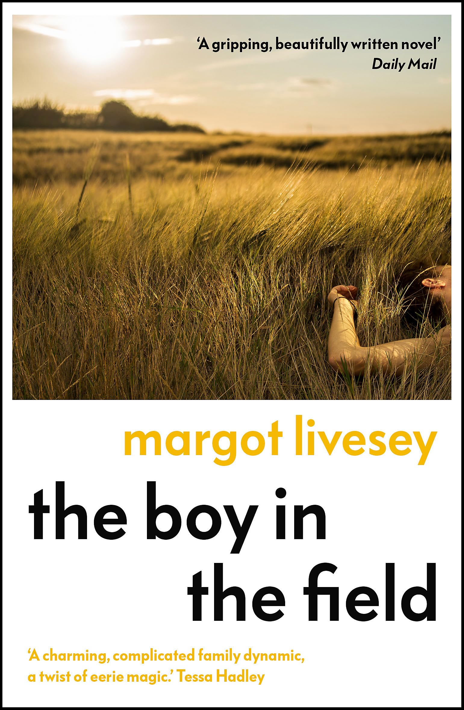 The Boy in the Field : 'A superb family drama' DAILY MAIL