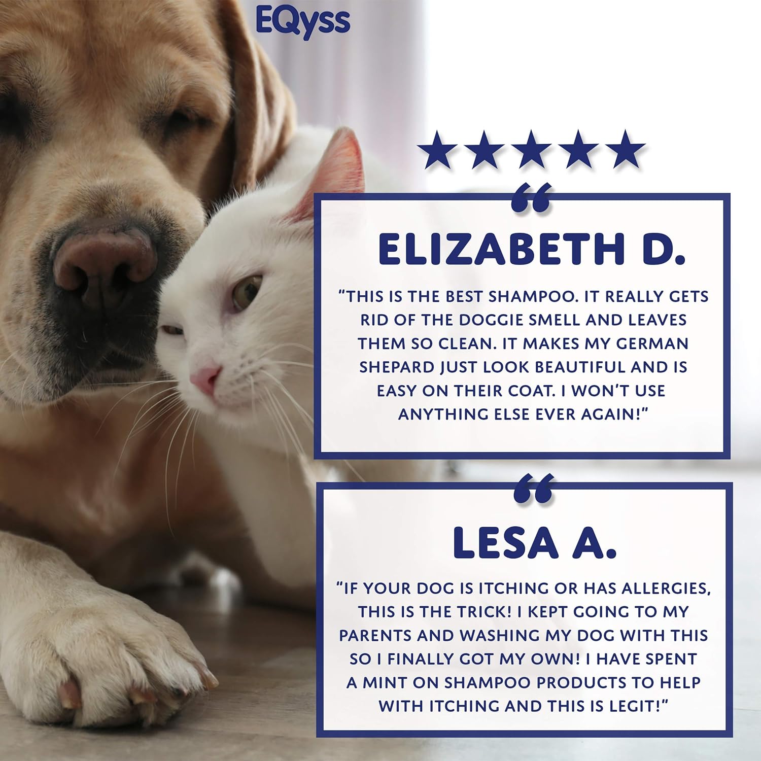 EQyss Micro-Tek Pet Shampoo - Stops Scratching, Itching, Biting, or Licking Hot Spots. Perfect for Pets with Skin Problems. 16 oz