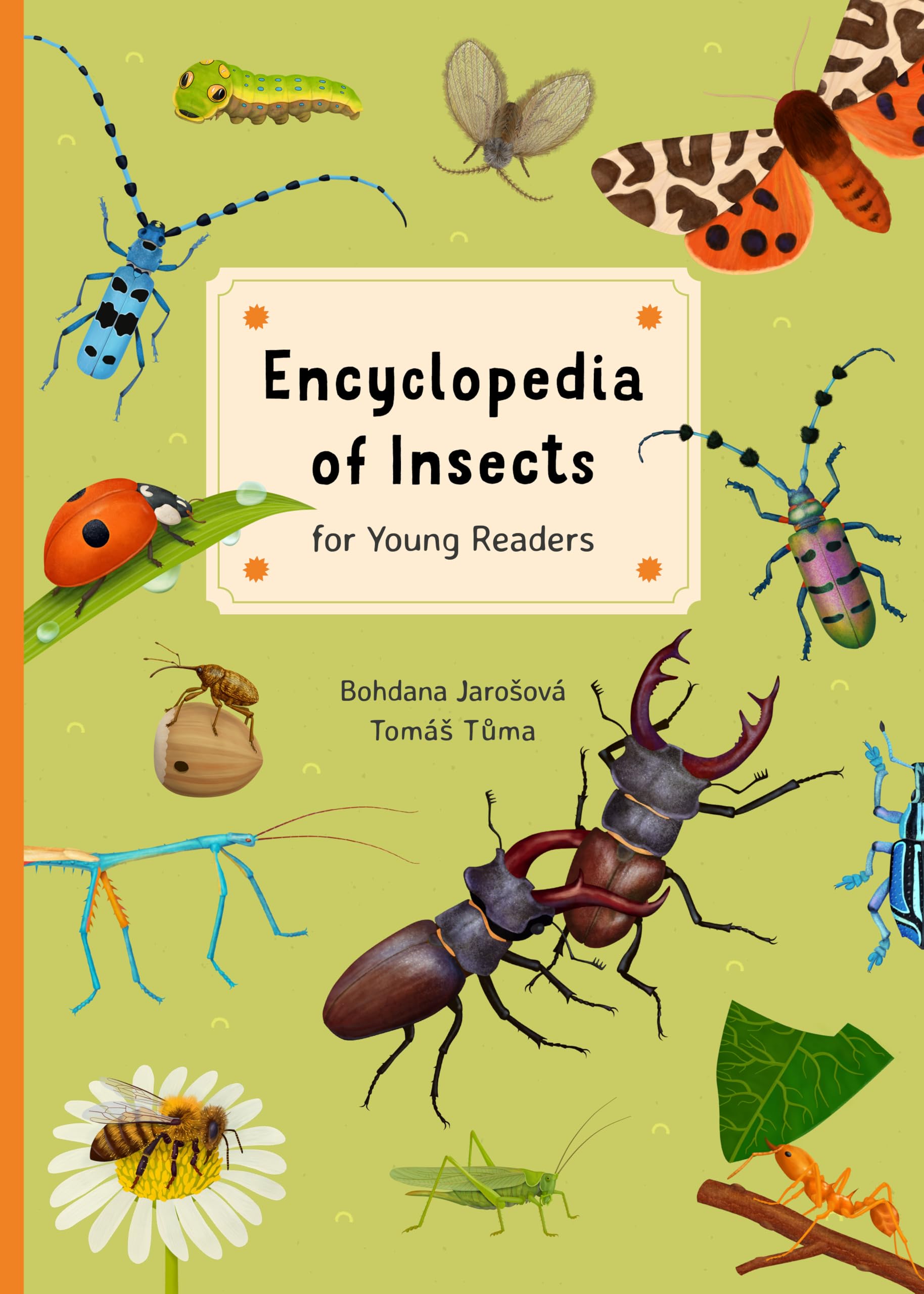 Encyclopedia of Insects for Young Readers (Encyclopedias for Young Readers, 5)