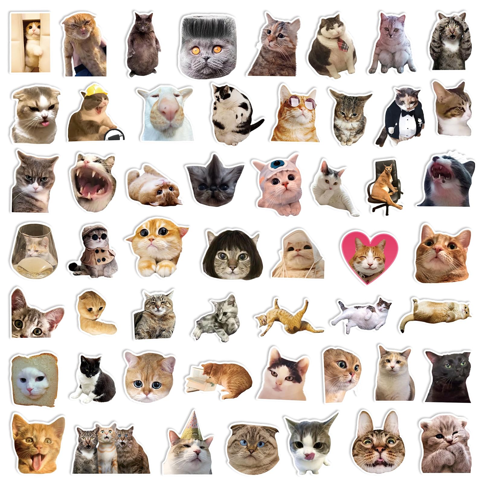 100 Pcs Cat Meme Stickers for Guitar,Bicycle,Laptop,Water Bottles,Skateboard,Computer,Kitten Meme Cute Style Stickers Waterproof Vinyl,Graffiti Decorate for Girls Boys Teens - Image 4