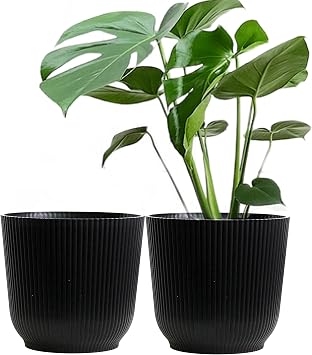 Olly & Rose Oxford Plant Pot Planter Plastic - Pack of 2 - Indoor and Outdoor Flower Pots for Garden and Home - Toughened Resin Plant Pots Black, 22cm