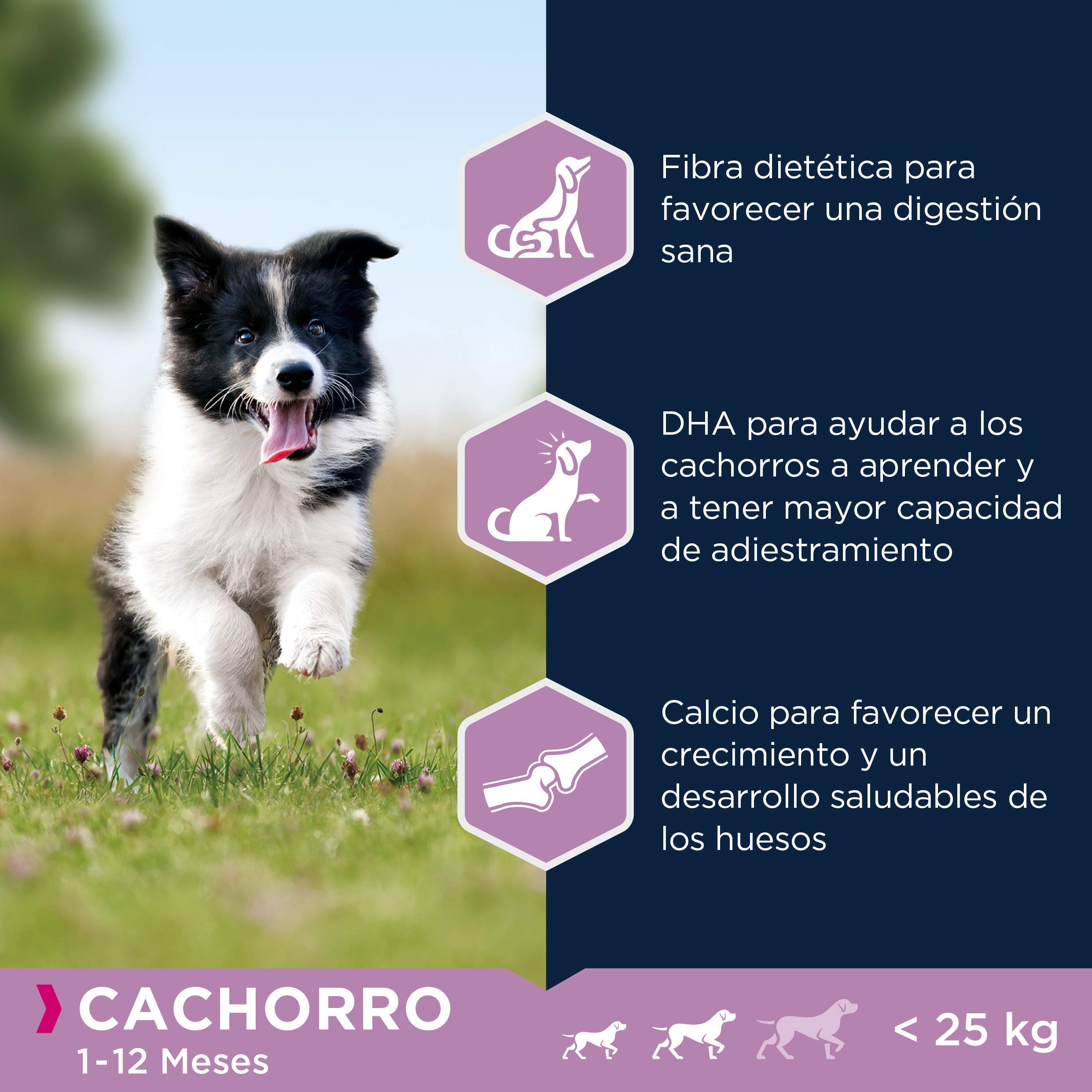 EUKANUBA Alimento seco para Cachorros de Razas pequeñas y Medianas, Rico en Cordero y arroz, 12 kg