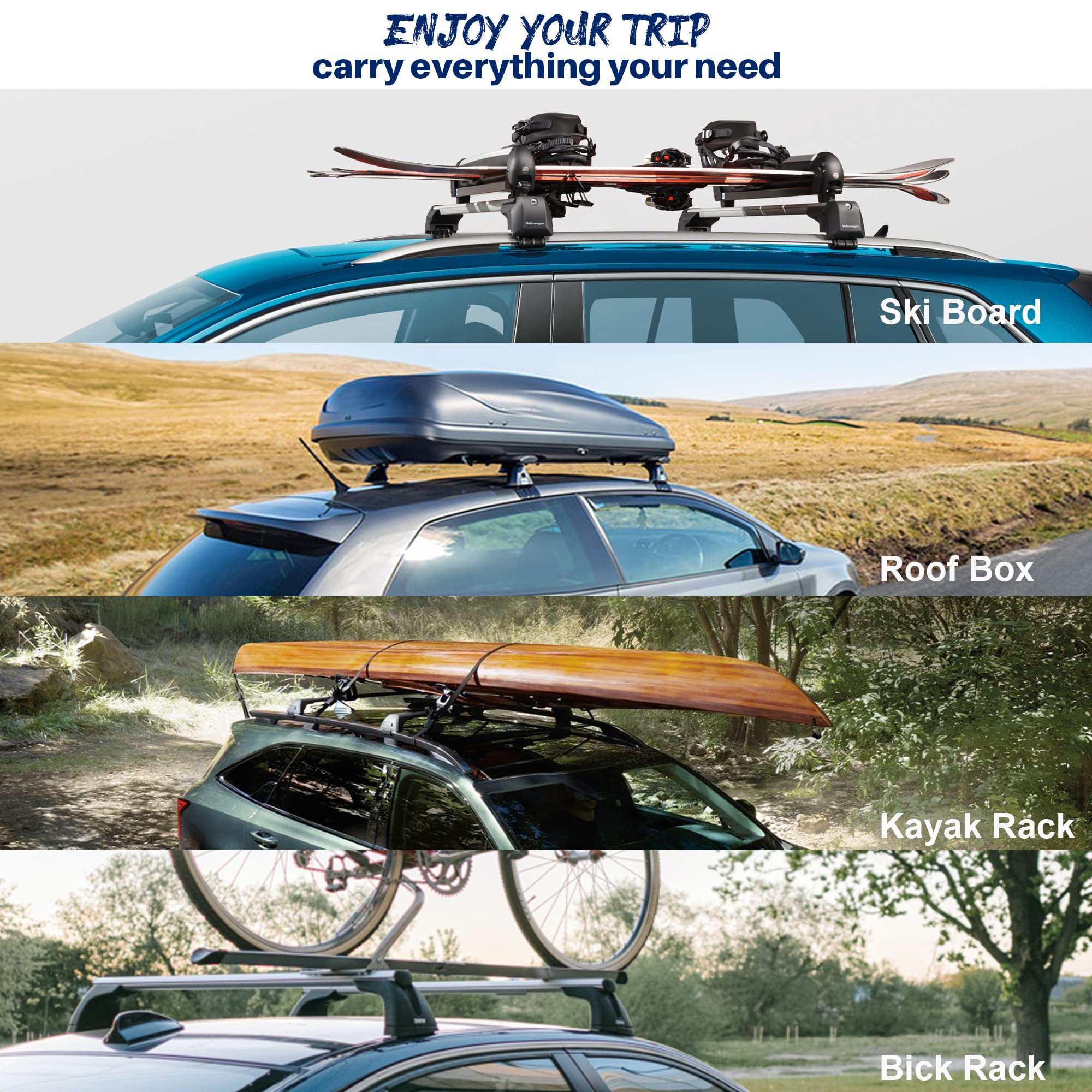 https://m.media-amazon.com/images/I/81Mbn1OUxAL.jpg