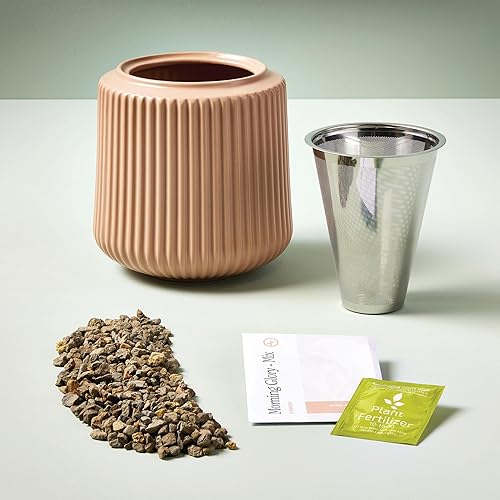 Miniatura 5 de Modern Sprout Kit de cultivo de flores de cerámica, jardín interior, juego de inicio de semillas, hidropónico (gloria de la mañana)