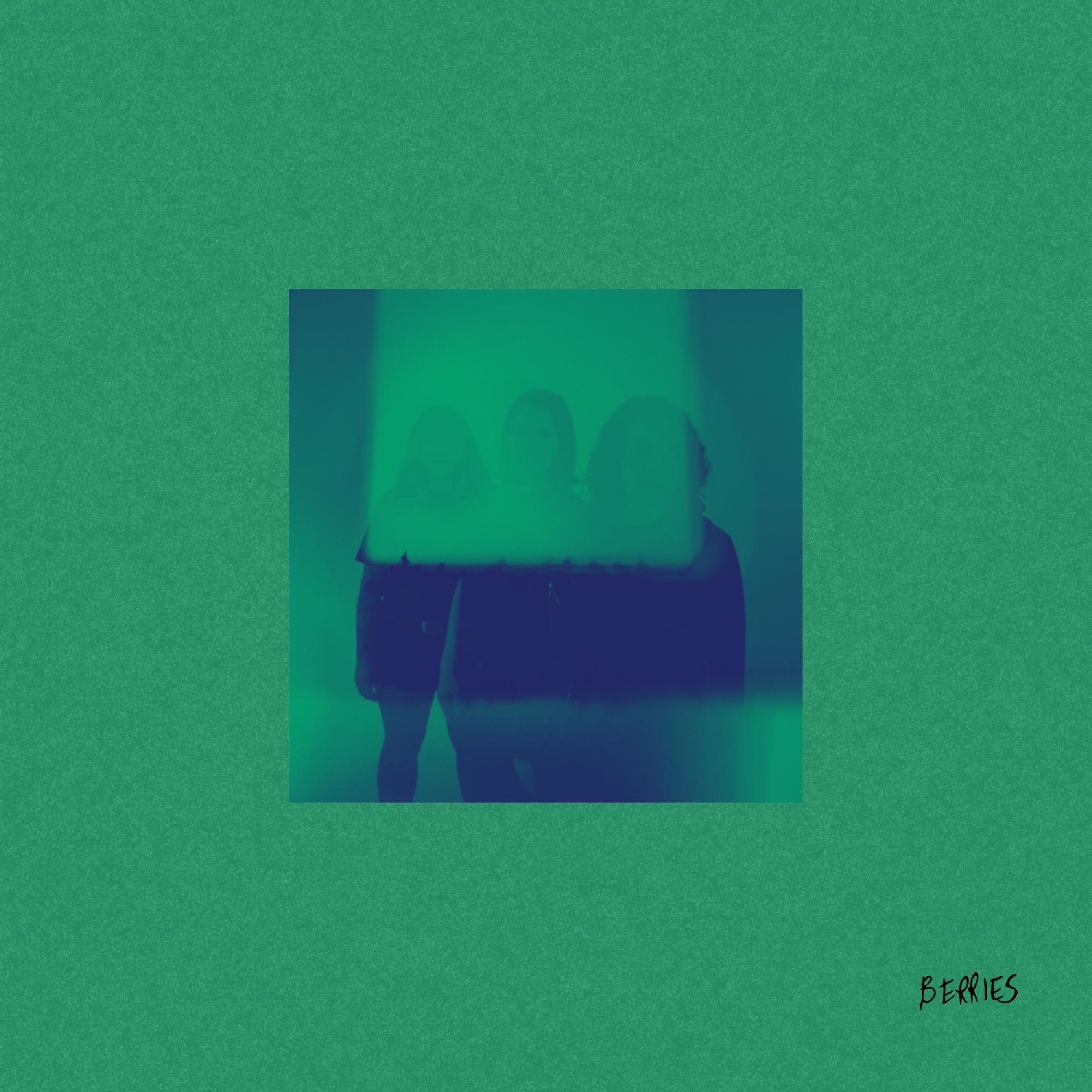 BERRIES [VINYL]