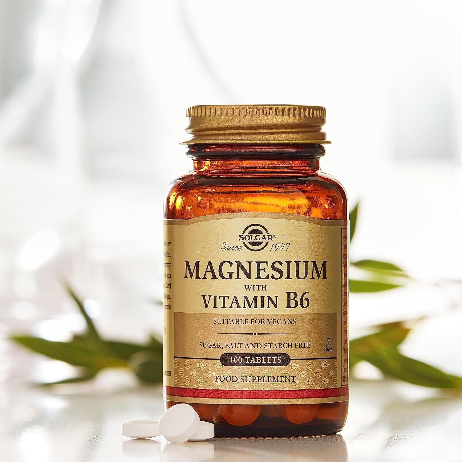 Solgar Magnesium with Vitamin B6, 100 Tablets - Promotes Healthy Bones, Supports Nerve & Muscle Function, Energy Metabolism - Non-GMO, Vegan, Gluten Free, Dairy Free, Kosher - 33 Servings
