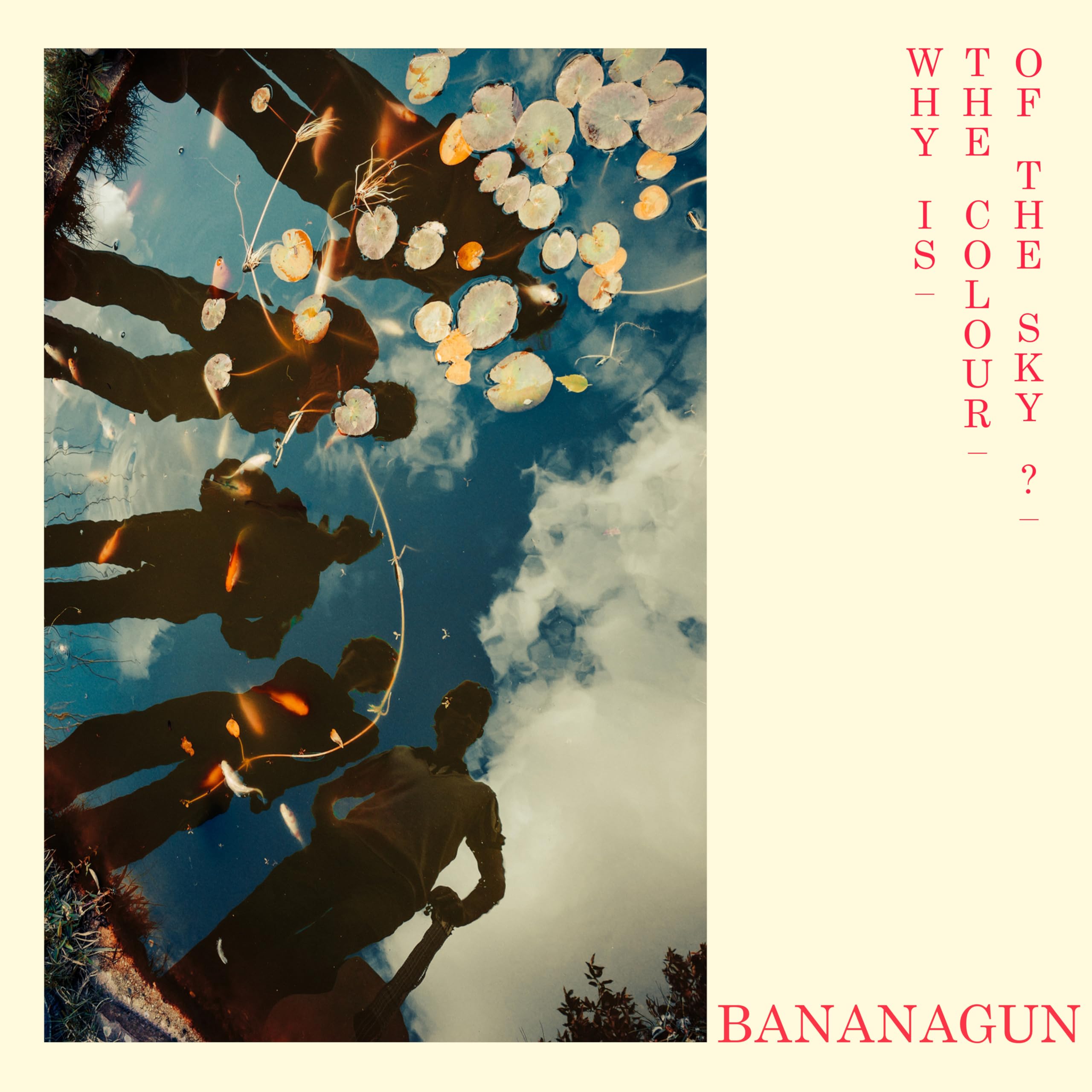 Why Is The Colour Of The Sky? [VINYL]