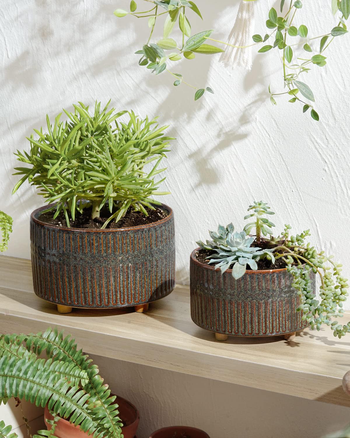 LE TAUCI Sukkulenten Topf, 16,5+20 cm Keramik Blumentopf für den Innenbereich mit Entwässerungslöchern, Moderner Zylindrischer Dekorativer Blumentopf, Geschenke für Mama, 2er-Set, Glasur Schwarz