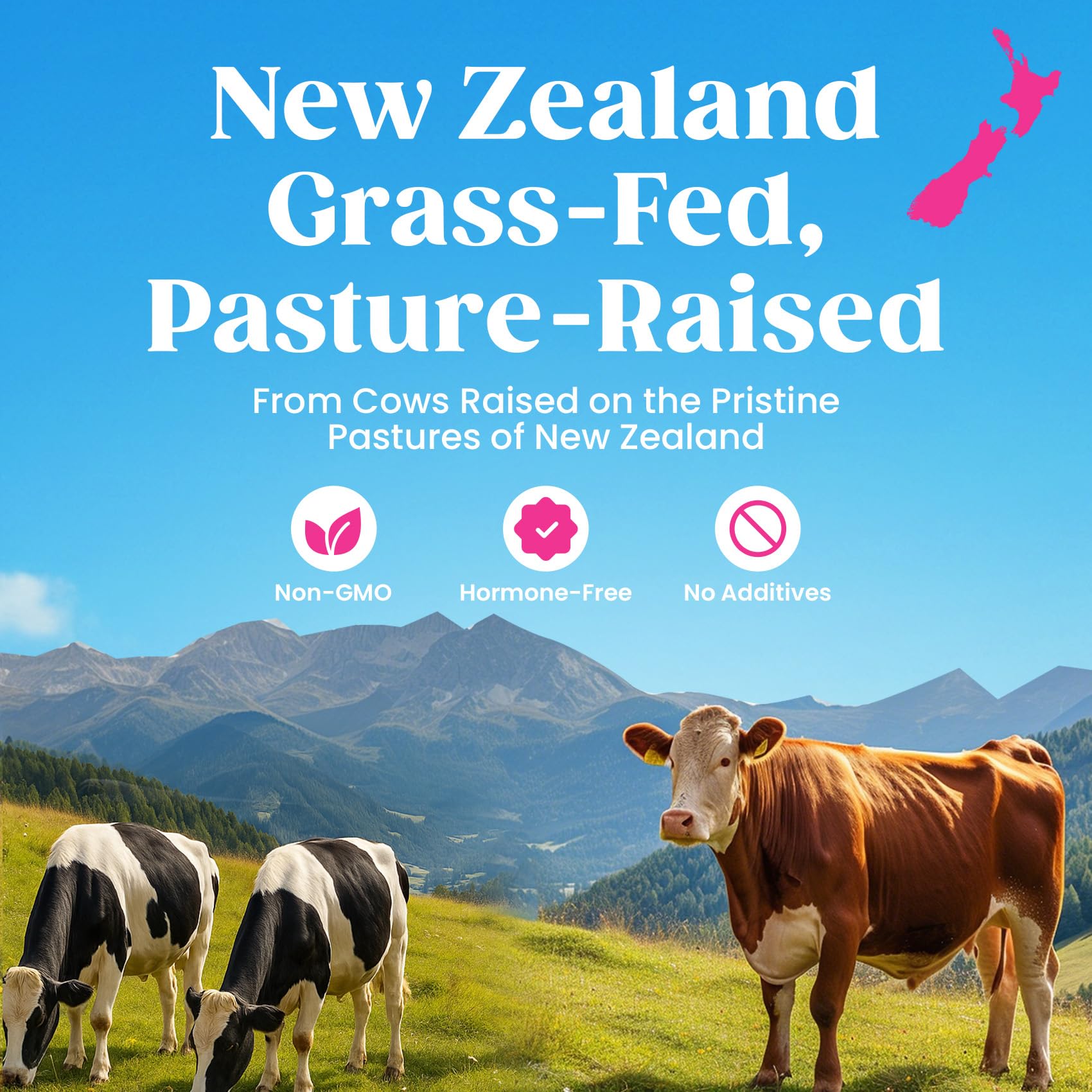 Venture Pal Multi Collagen Protein Powder - Hydrolyzed Collagen Peptides Type I, II, III, V, X + MSM, Vitamin C | Unflavored Collagen Supplement | Hair, Skin, Nail & Joint Support | Grass Fed, Non-GMO