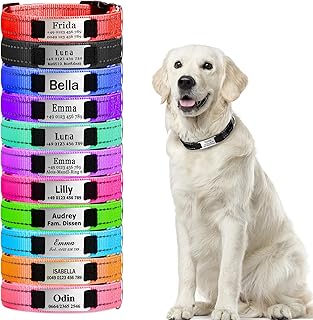 Personalisierte Hundehalsbänder, Reflektierende Hundehalsband mit Namen Telefonnummer, Verstellbar Halsband mit Namensschild Personalisiertes Geschenk product image