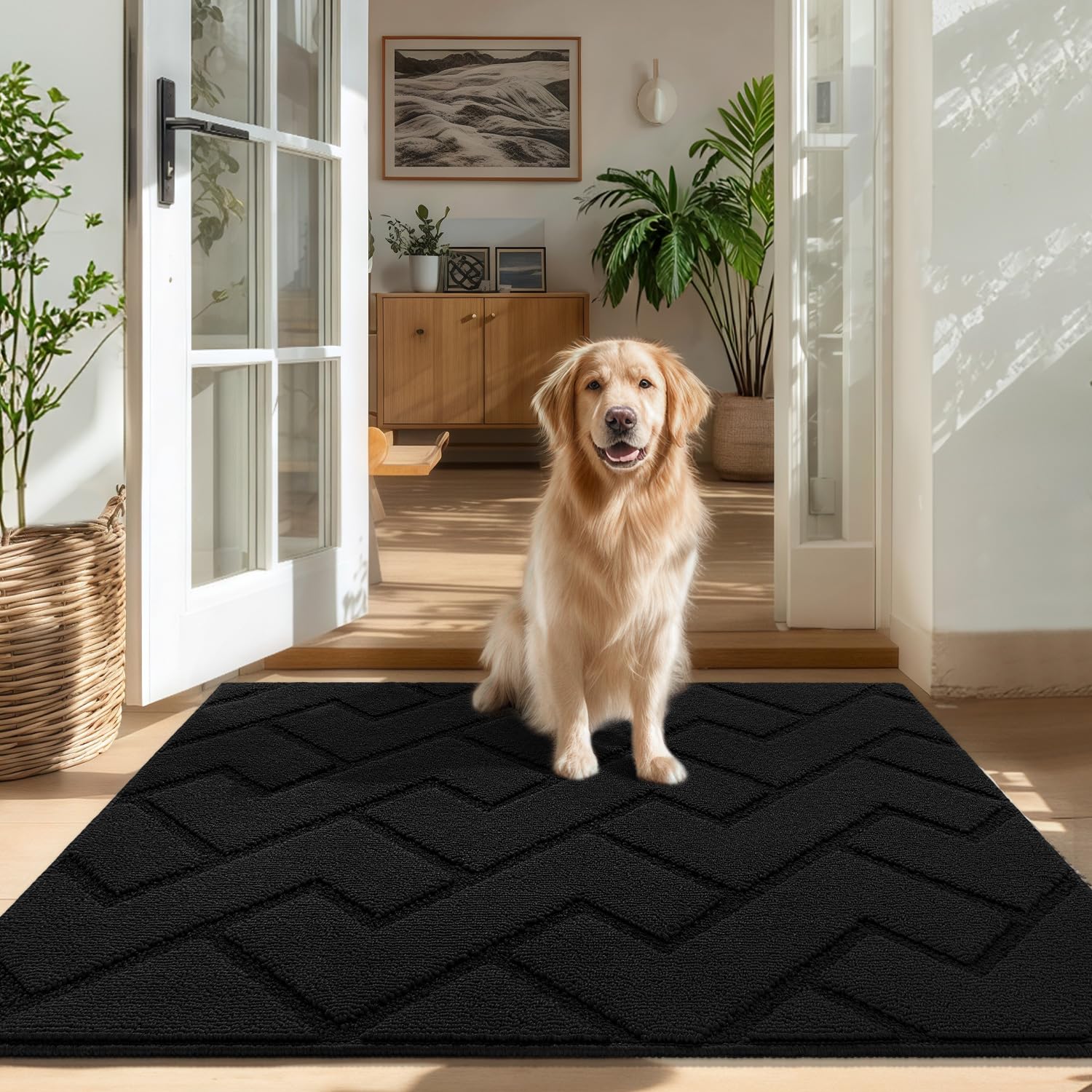 Biscpro Fußmatte Innen Außen Waschbar eingangsteppich innen Schmutzfangmatte rutschfest,Türmatte Innen Teppich für Eingang, Patio, Flur, Garten, Innen und Außen