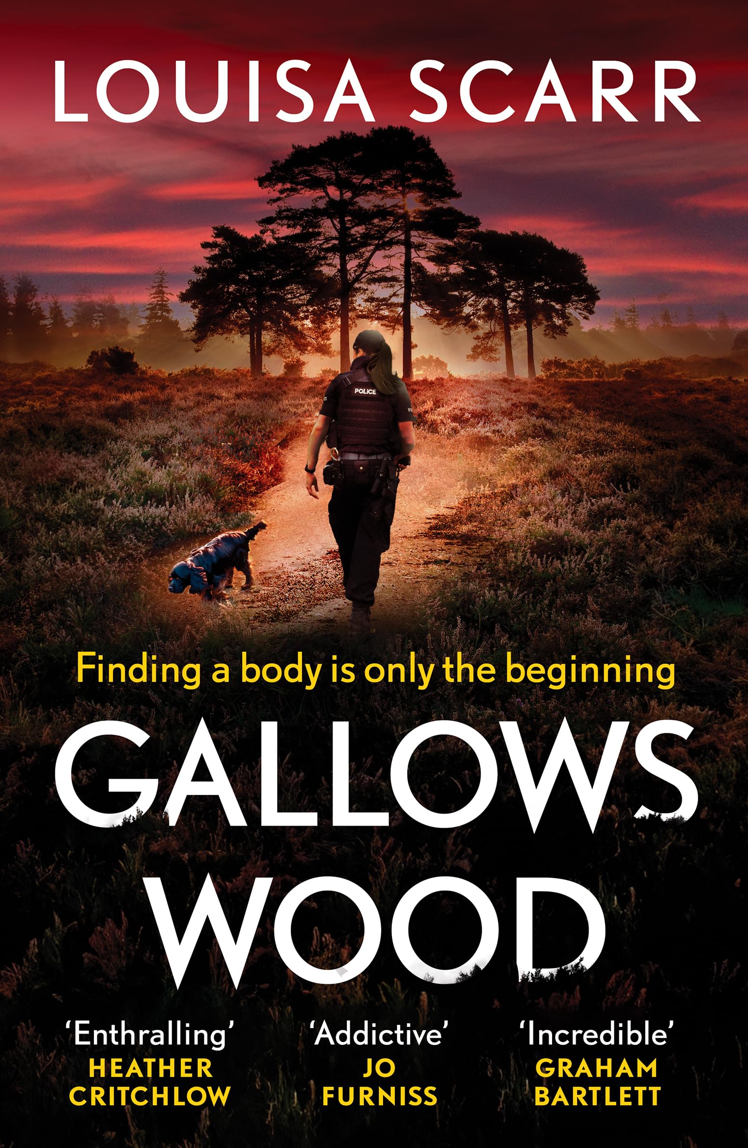 Gallows Wood: A dark and compelling crime thriller: PC LUCY HA (PC Lucy Halliday, 1)
