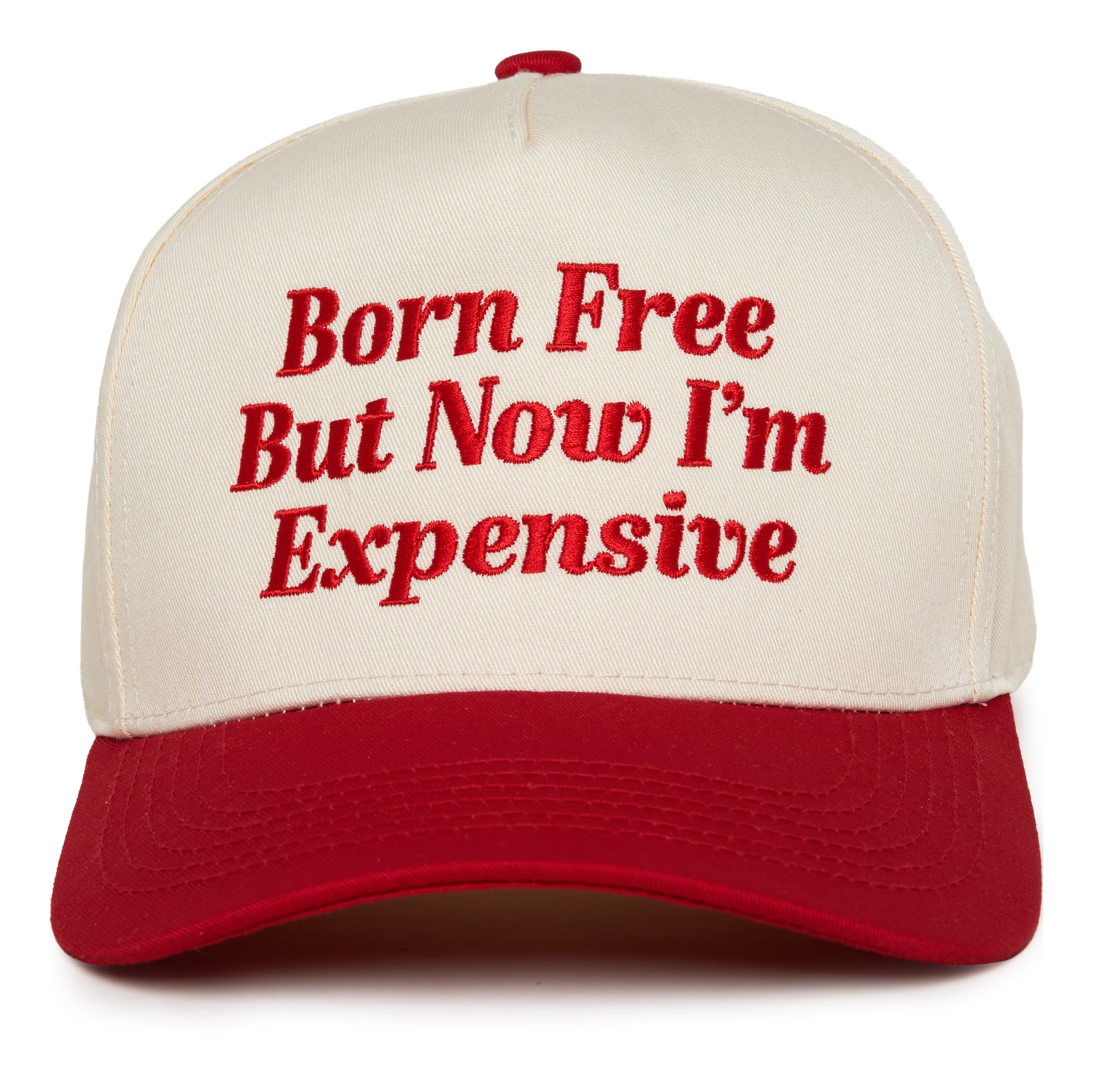 Funky Junque Zweifarbige Vintage-Snapback-Hüte aus Segeltuch, für Herren und Damen, trendig, bestickt, Trucker-Baseballkappe, lustig, verstellbar