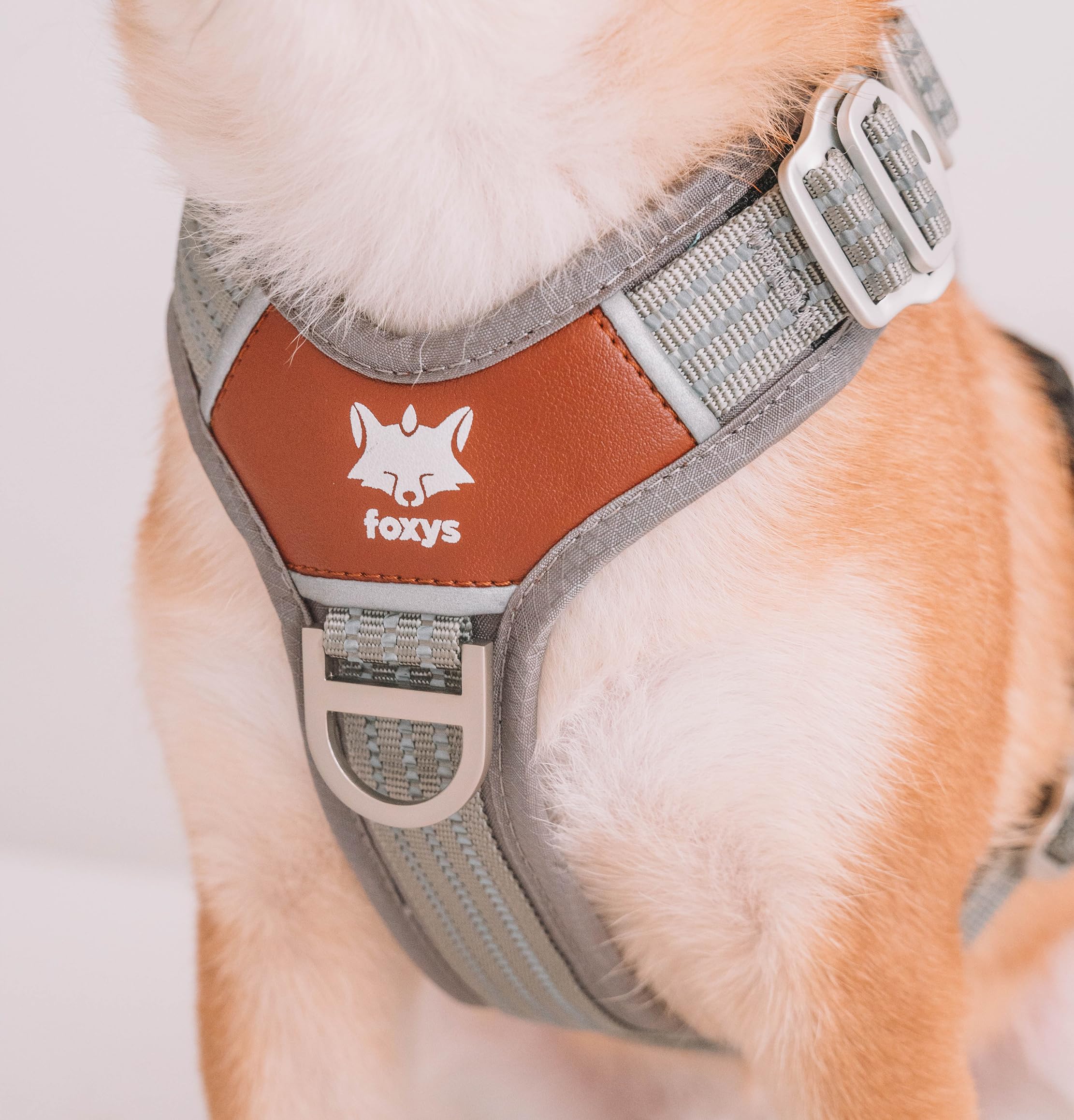 Foxys® CountryFox™ Pro, ergonomisches Hundegeschirr, robust, gepolstert, leicht und verstellbar, Grau, Größe L