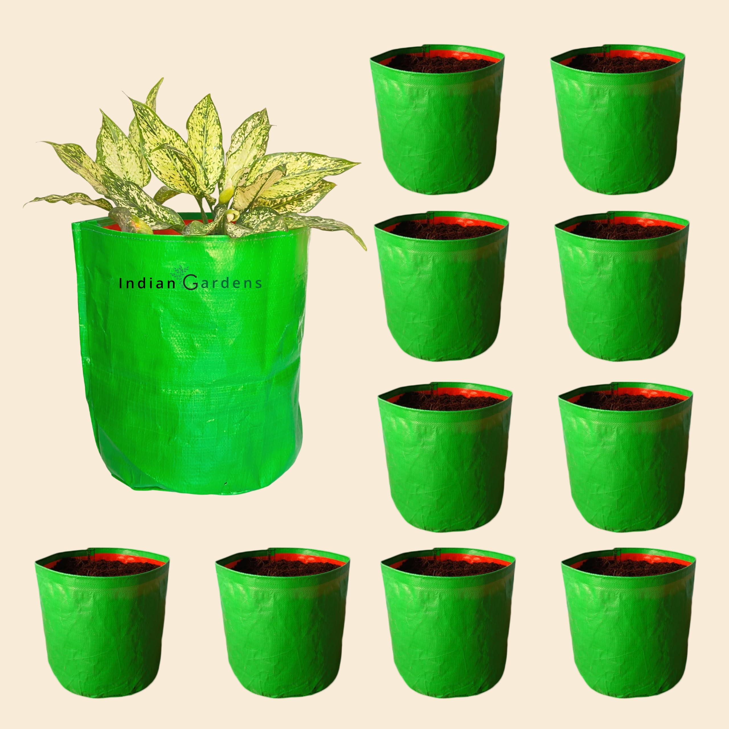 See full amazon price history chart for Indian Gardens - Grow Bag 9 X 9 Inch | Green Orange | UV Treated | Indoor & Outdoor | High Durable | Gardening Purpose (9 X 9 Inch, Pack of 10) Indian Gardens - Grow Bag 9 X 9 Inch | Green Orange | UV Treated | Indoor & Outdoor | High Durable | Gardening Purpose (9 X 9 Inch, Pack of 10) (B0C5883MPQ) Amazon Price History, Amazon Price Tracker