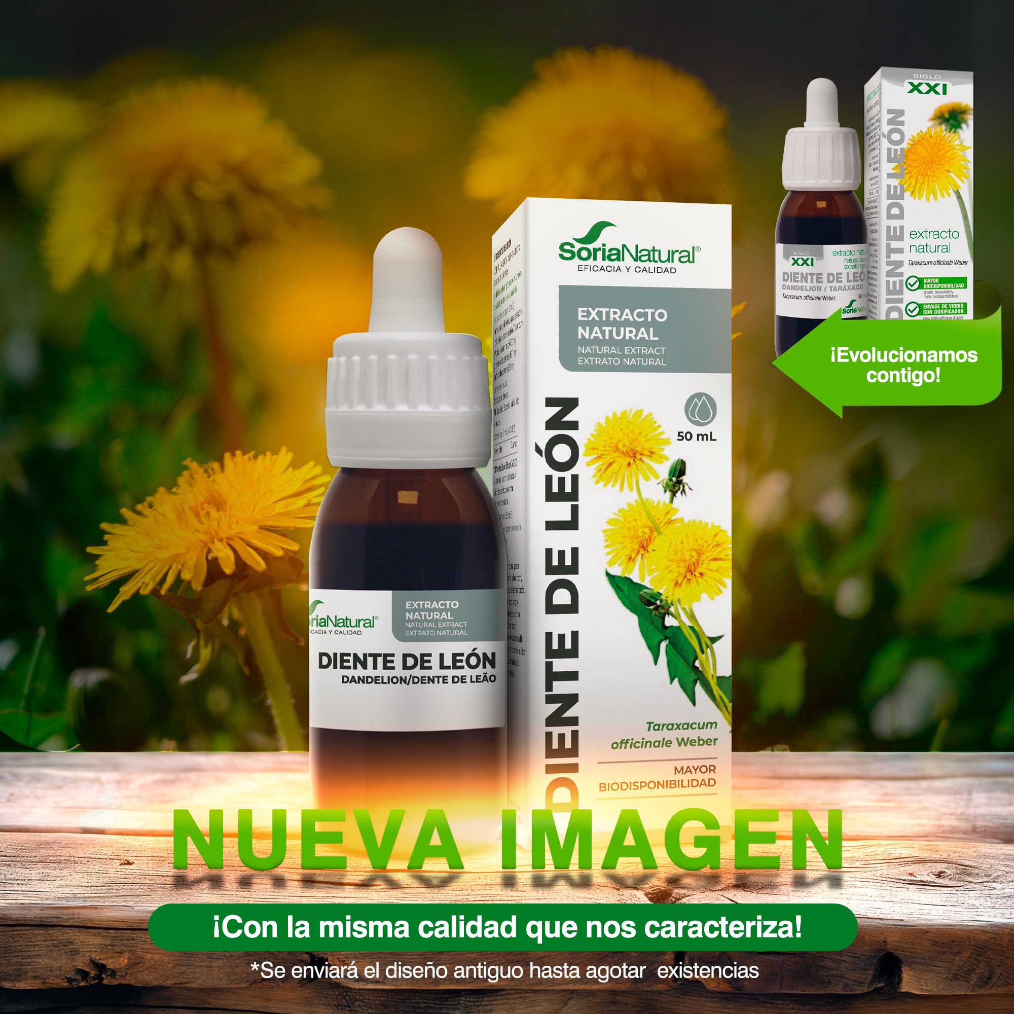 Soria Natural Extracto de Diente de León 50ml - Apoya la Salud del Hígado, Digestión, Detox