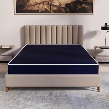 Treaton, 10-Inch Medium Firm Water Resistance Nylon Vinyl Foam Mattress, Noiseless, Soft Cloud Feeling, Body Heat Reflection, Good for Hospital and Camp, Queen, Blue