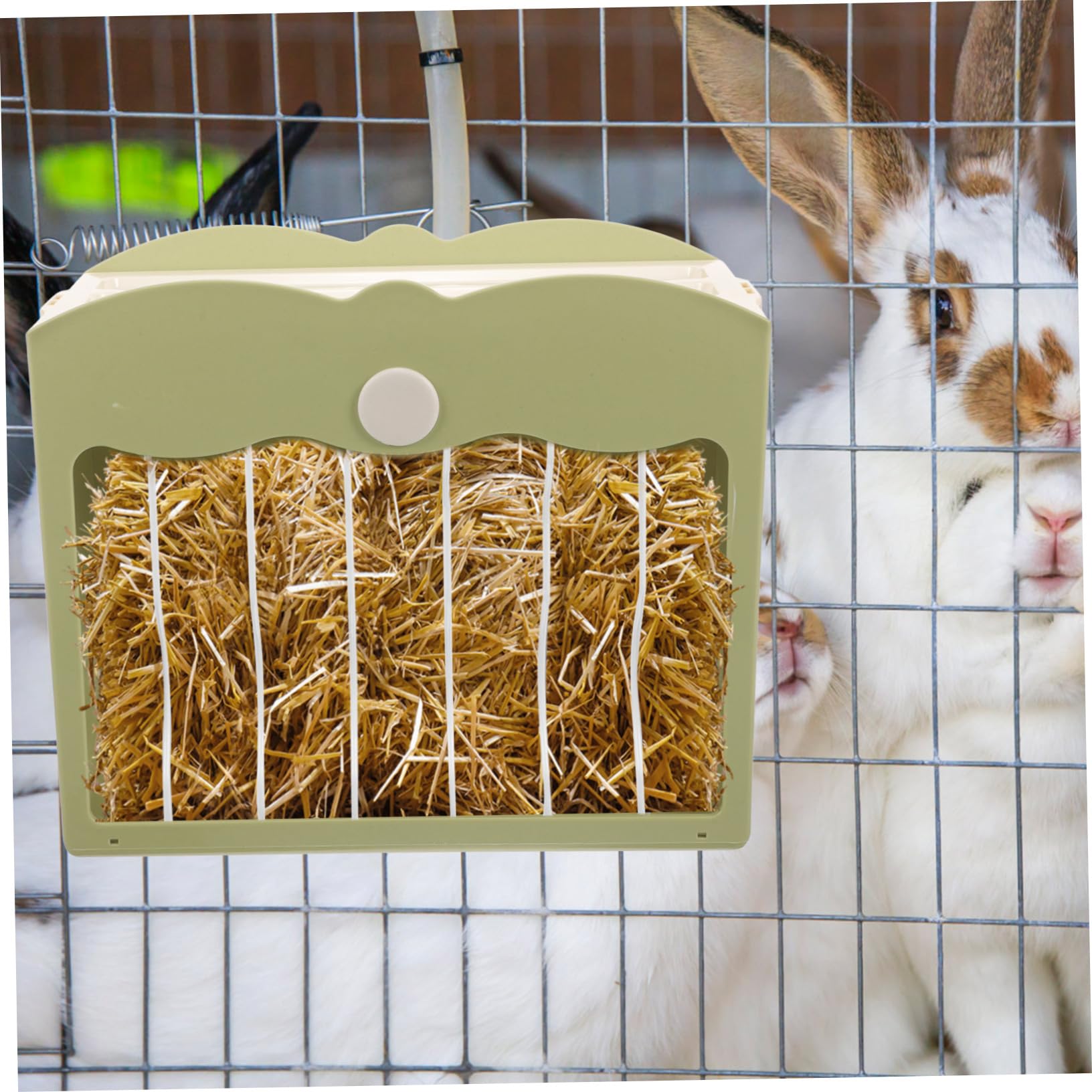 Kaninchen Futterspender Kunststoff Abnehmbar Mit Deckel Grün Futterhalter Für Hamster Meerschweinchen Käfig Zubehör Haustier