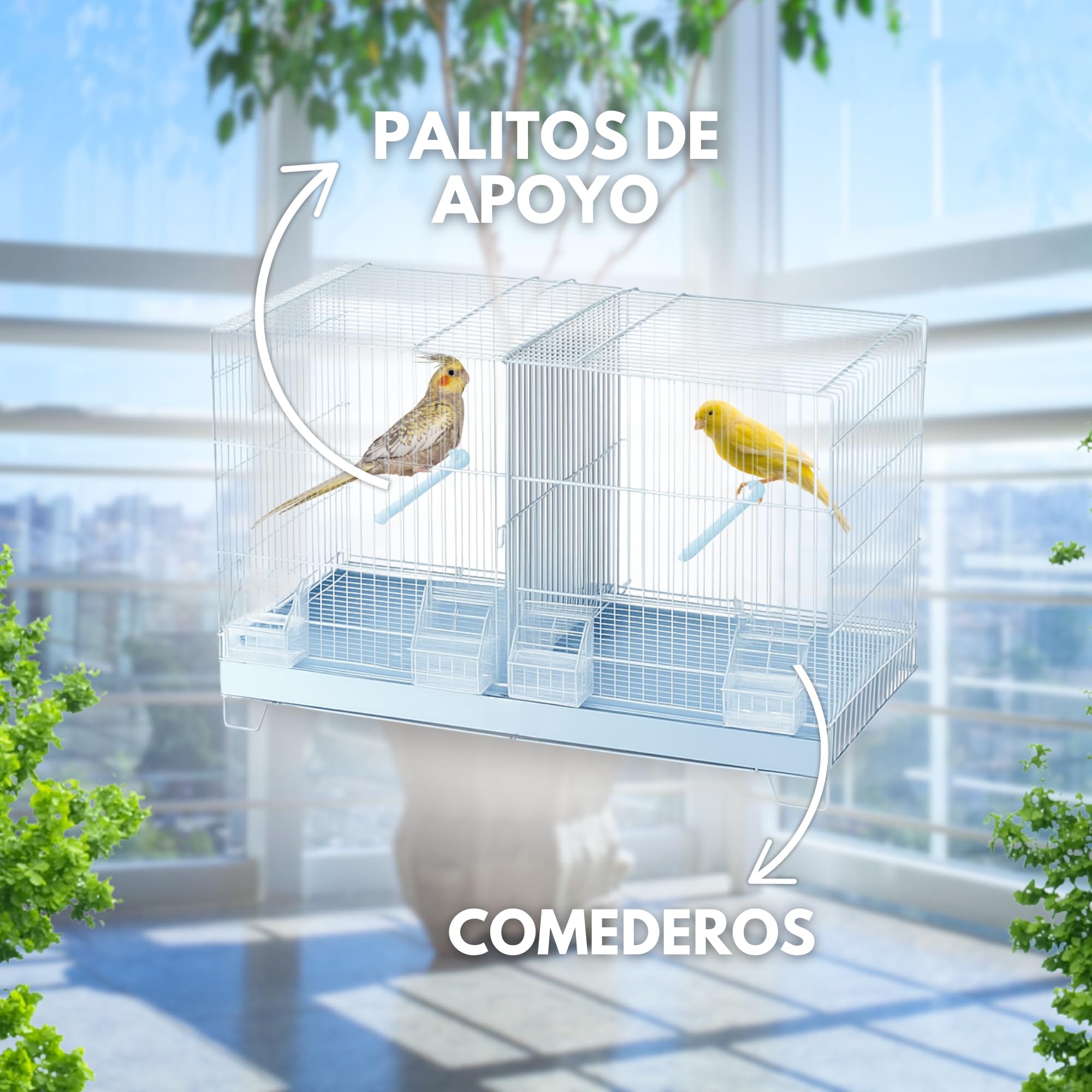 MOLY Jaulón de cría para pájaros 58 x 32 x 37 cm | Jaula Desmontable con Base elevada | Pajarera, Nido Ideal para reproducción y cría de Aves pequeñas