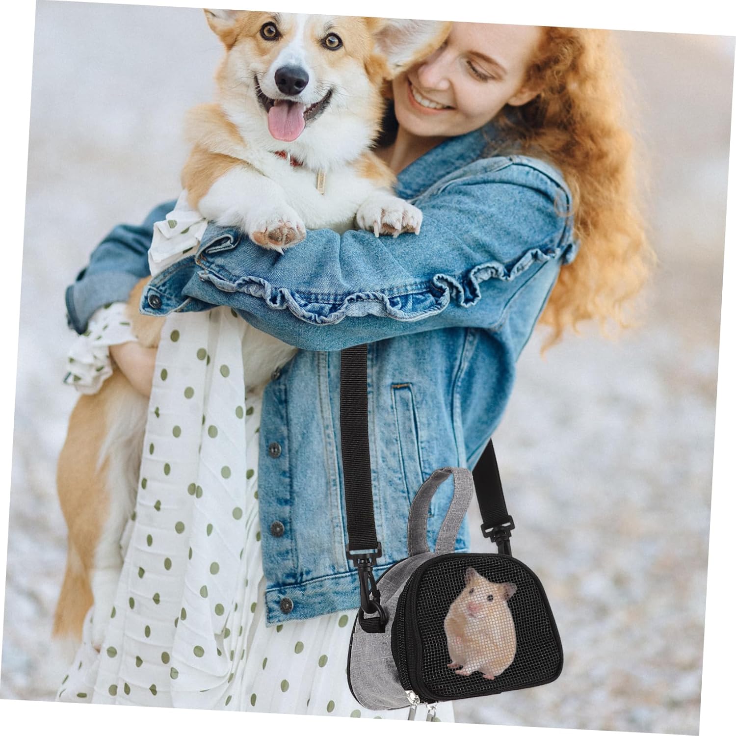 BESPORTBLE 4pcs Compact Hamster Carrier Breathable Mesh Safe for Outdoor Travel for Small Animals