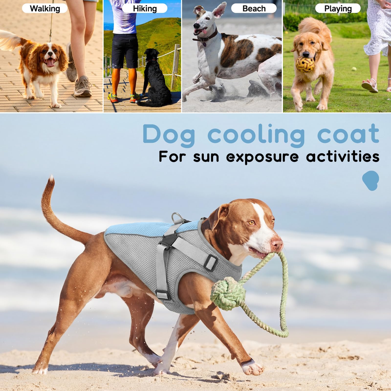 Giubbotto Rinfrescante Cane con Pettorina, Confortevole Cappotto Refrigerante Cane, Mantiene animale Fresco durante Passeggiate Estive, Riposo in Casa e Momenti di Relax(Grigio, L)