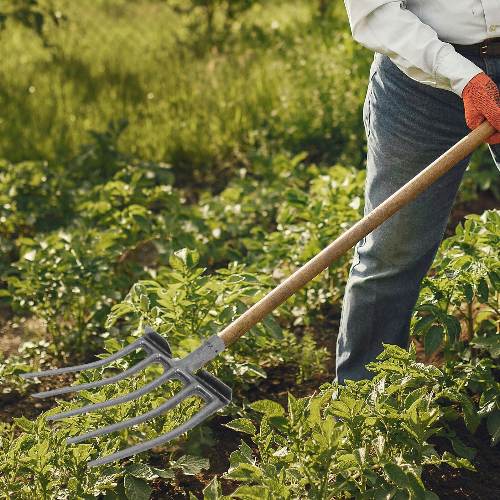Forca da Giardino in Acciaio Argento 5 o 6 Denti per Lavorazione del Terreno e Sarchiatura, Resistente e Versatile per Orto e Attività Agricole