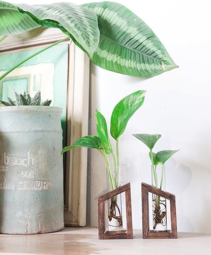 Miniatura 8 de Tubo de ensayo Ivolador para plantas de vidrio, contenedor de terrario, perfecto para propagar plantas hidropónicas, hogar, oficina, jardín,