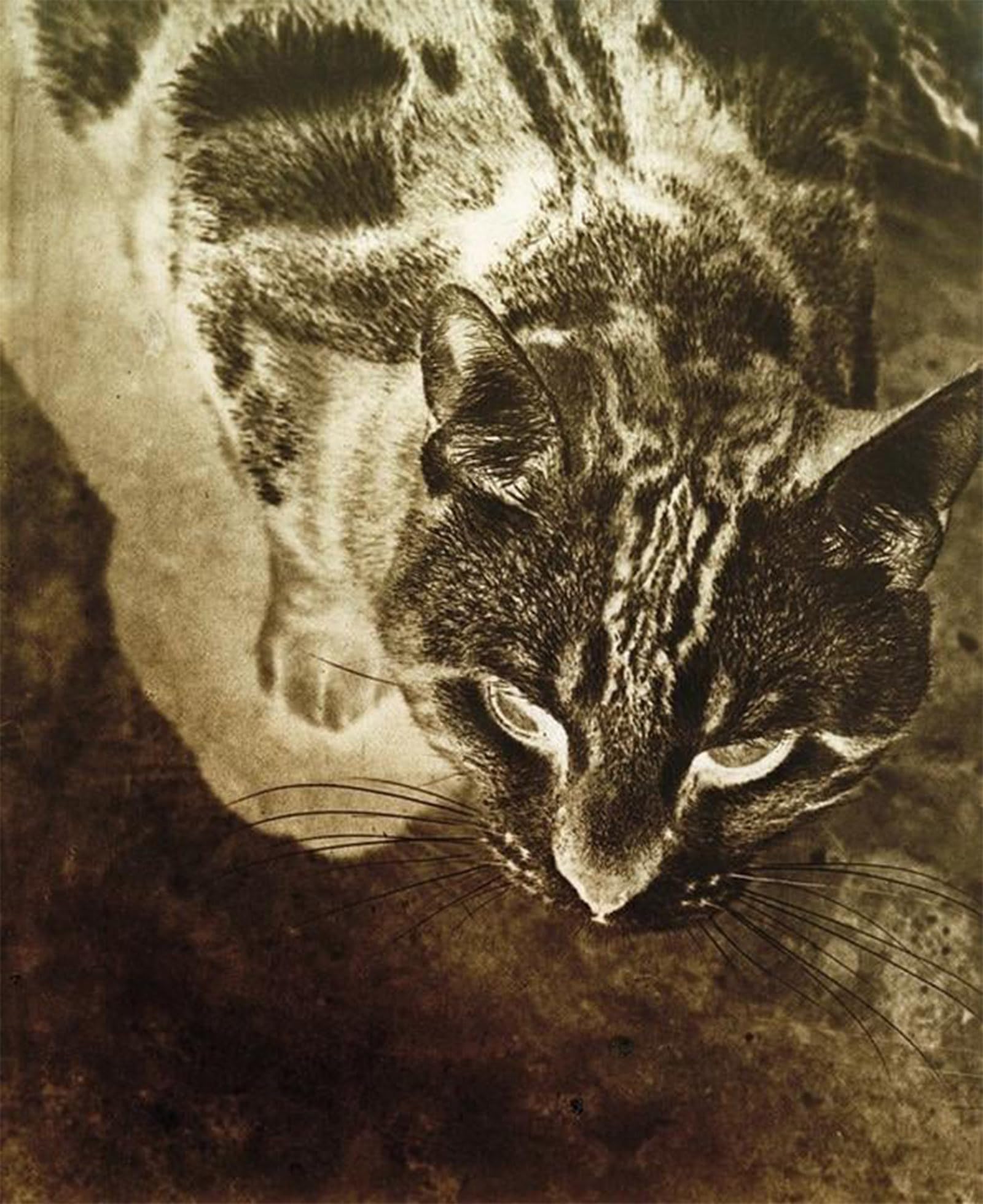 Toile Katze Laszlo Moholy Nagy Impression d'Art Géométrique Noir et Blanc - 5