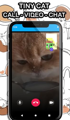 Tiny Cat Video Call - Live voice & Video from pet cat and Texting simulated - Video prank | NO ADS